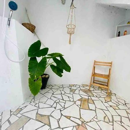 شقة تير-دي-هوت  في Habitation Nala Proche Bourg المظهر الخارجي الصورة