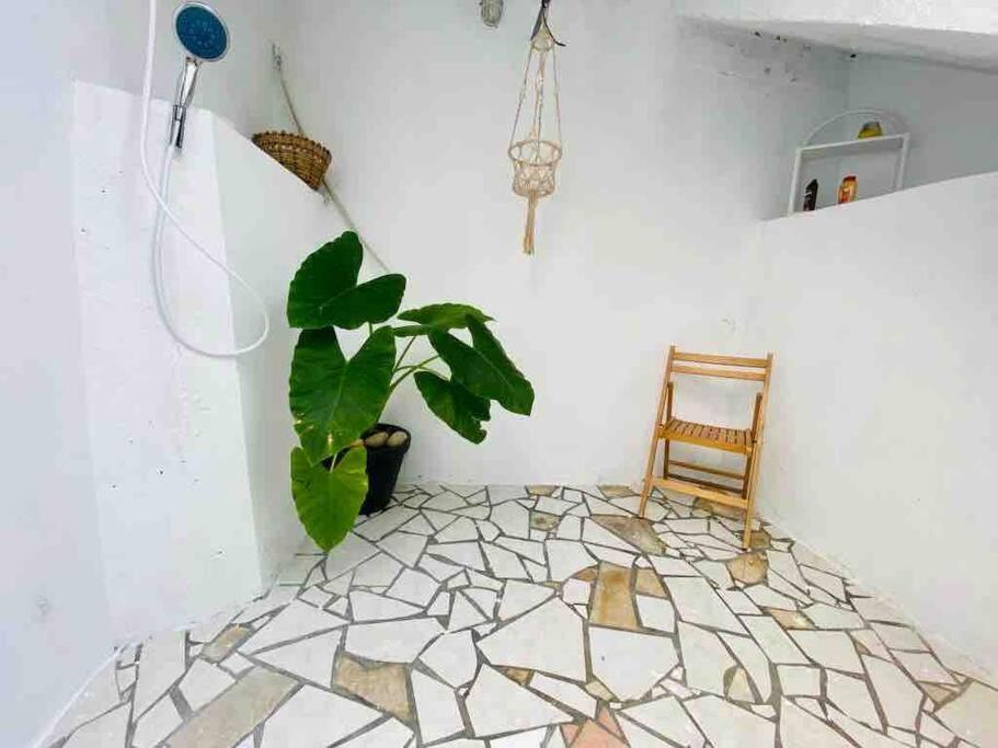 شقة تير-دي-هوت  في Habitation Nala Proche Bourg المظهر الخارجي الصورة
